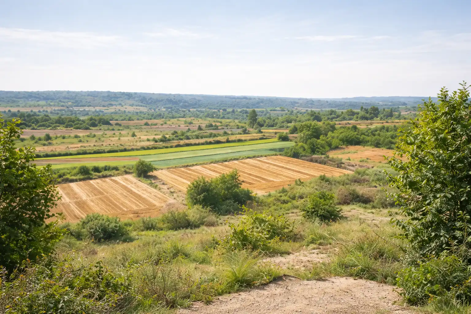 Campo rural